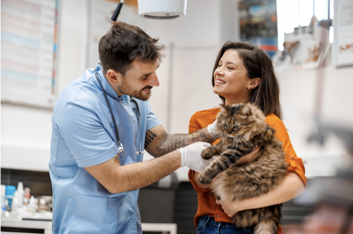Chat chez le vétérinaire avec sa propriétaire illustrant la protection offerte par une assurance santé chat